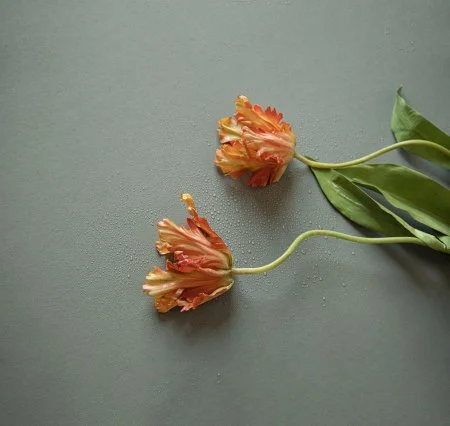 Обои Loymina Russian Classic Ru10, 006 в Нижневартовске