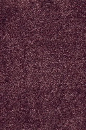 Ковровое покрытие AW Fedone 19 - (5м) в Нижневартовске