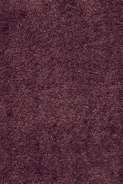 Ковровое покрытие AW Fedone 19 - (5м) в Нижневартовске