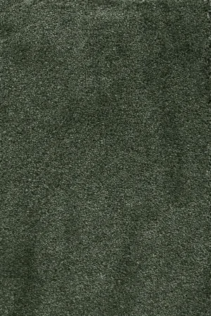 Ковровое покрытие AW Fedone 24 - (5м) в Нижневартовске