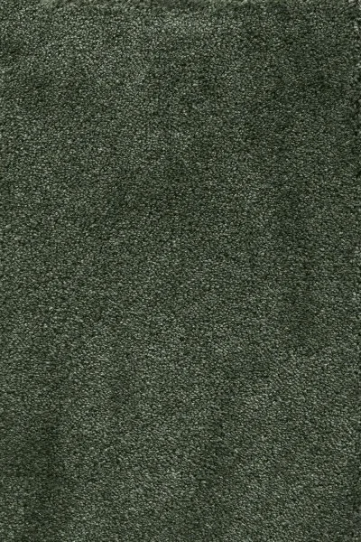 Ковровое покрытие AW Fedone 24 - (5м) в Нижневартовске