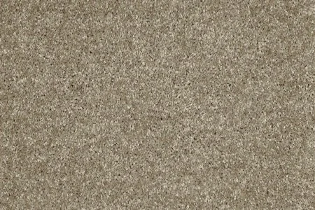 Ковровое покрытие AW Gala 33 - (5м) в Нижневартовске