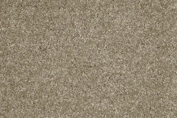 Ковровое покрытие AW Gala 33 - (4м) в Нижневартовске