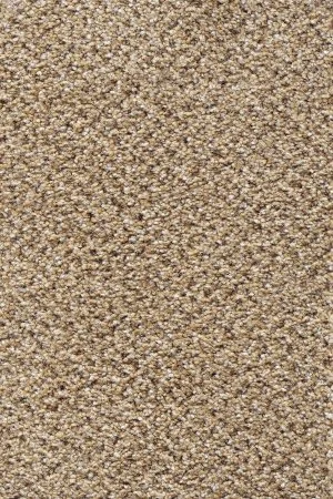 Ковровое покрытие AW Stainaway Tweed 50 - (4м) в Нижневартовске