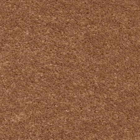 Ковровое покрытие AW Euphoria 84 - (5м) в Нижневартовске