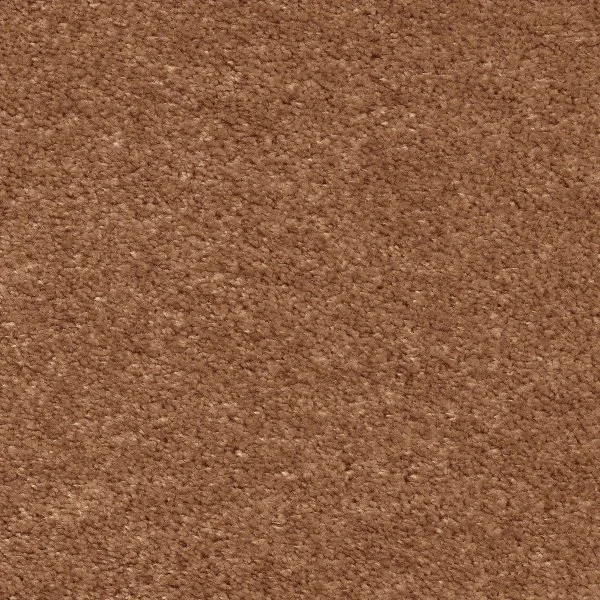 Ковровое покрытие AW Euphoria 84 - (5м) в Нижневартовске