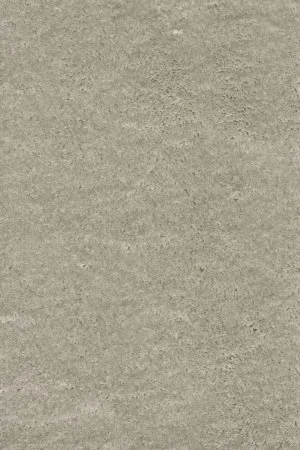 Ковровое покрытие AW Fedone 90 - (5м) в Нижневартовске