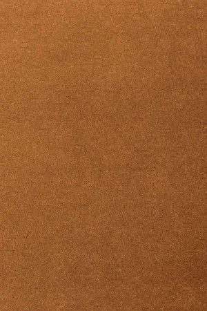 Ковровое покрытие AW Oinone 84 - (5м) в Нижневартовске