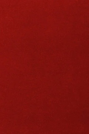 Ковровое покрытие AW Oinone 10 - (5м) в Нижневартовске