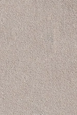 Ковровое покрытие AW Messalina 37 - (4м) в Нижневартовске