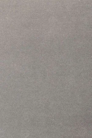 Ковровое покрытие AW Oinone 94 - (5м) в Нижневартовске