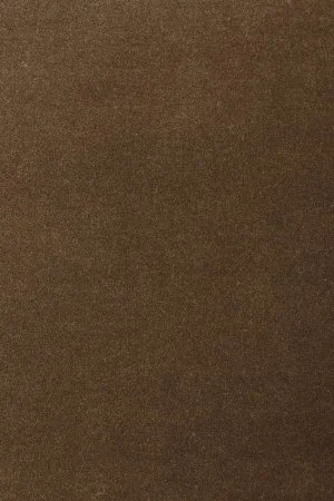 Ковровое покрытие AW Oinone 44 - (4м) в Нижневартовске