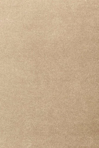 Ковровое покрытие AW Oinone 36 - (4м) в Нижневартовске