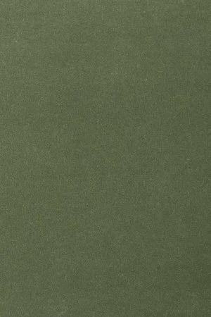 Ковровое покрытие AW Oinone 24 - (5м) в Нижневартовске