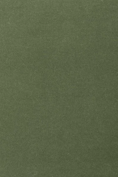 Ковровое покрытие AW Oinone 24 - (4м) в Нижневартовске