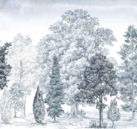 Обои Loymina Пейзаж vol. 2 ART14 006 в Нижневартовске