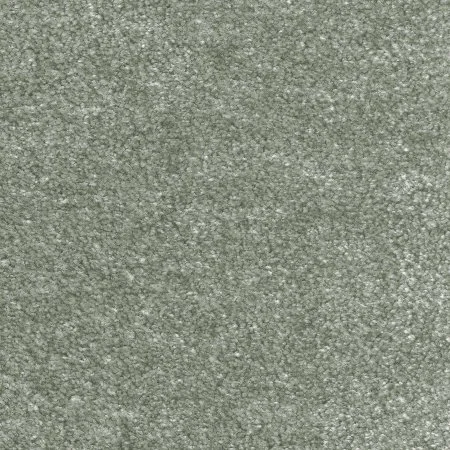 Ковровое покрытие AW Euphoria 28 - (5м) в Нижневартовске