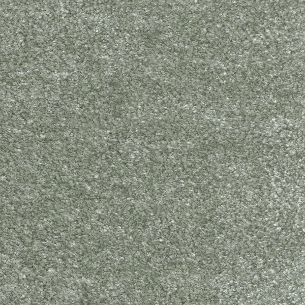 Ковровое покрытие AW Euphoria 28 - (5м) в Нижневартовске