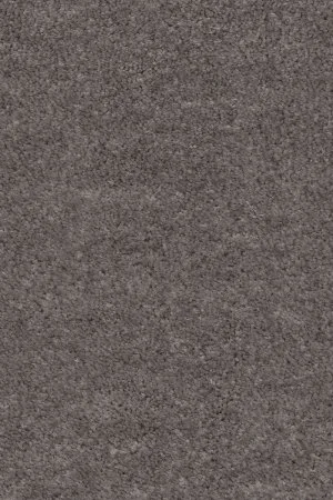 Ковровое покрытие AW Euphoria 45 - (5м) в Нижневартовске