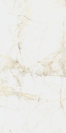 Керамогранит Coliseum Канова Уайт 60х120 (Натуральный и Реттифицированный) в Нижневартовске