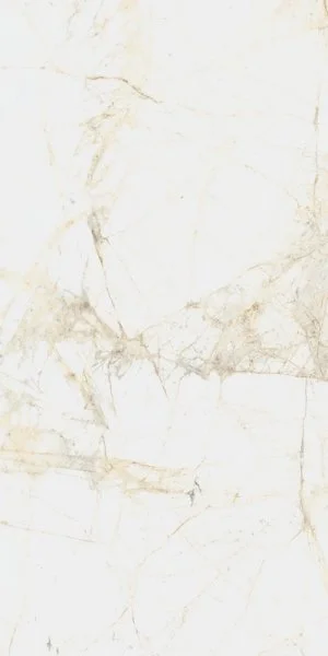 Керамогранит Coliseum Канова Уайт 60х120 (Натуральный и Реттифицированный) в Нижневартовске