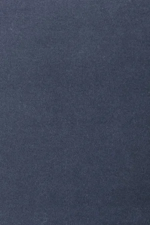 Ковровое покрытие AW Oinone 78 - (4м) в Нижневартовске