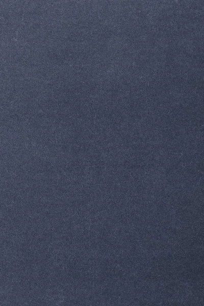 Ковровое покрытие AW Oinone 78 - (4м) в Нижневартовске