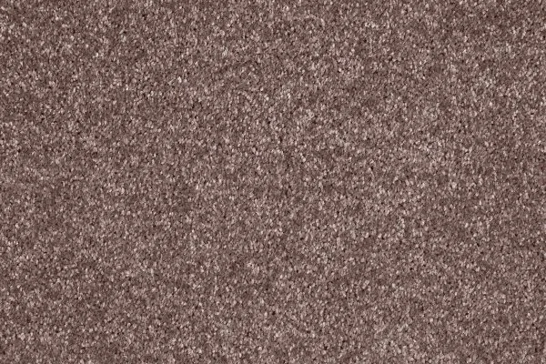 Ковровое покрытие AW Gala 60 - (5м) в Нижневартовске