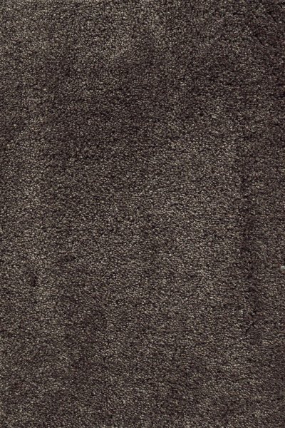 Ковровое покрытие AW Fedone 44 - (5м) в #REGION_NAME_DECLINE_PP#