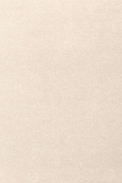 Ковровое покрытие AW Oinone 03 - (5м) в #REGION_NAME_DECLINE_PP#